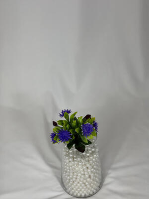 Астра 24 см на 5 голів (код: 1570)